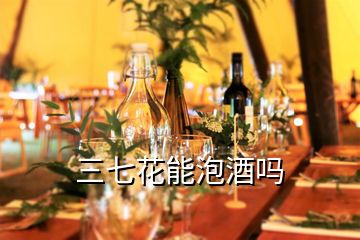 三七花能泡酒吗