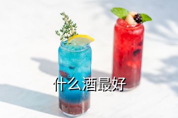 什么酒最好