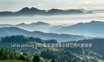 lafite century 2005葡萄酒值多少钱见照片图谢谢