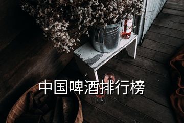 中国啤酒排行榜