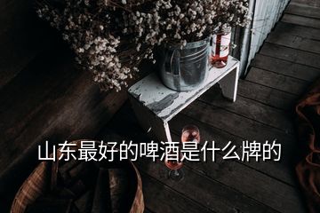 山东最好的啤酒是什么牌的