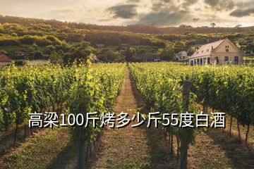 高梁100斤烤多少斤55度白酒