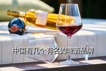 中国有几个有名的啤酒品牌