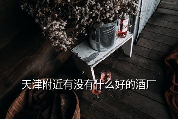 天津附近有没有什么好的酒厂