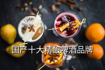 国产十大精酿啤酒品牌