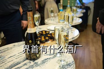 界首有什么酒厂