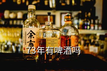 73年有啤酒吗