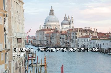 可以给我提供一个雪花啤酒的啤酒瓶吗要大图 为什么找不到呀  问