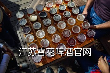 江苏雪花啤酒官网