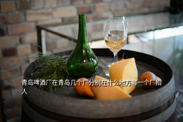 青岛啤酒厂在青岛几个厂分别在什么地方哪一个厂招人