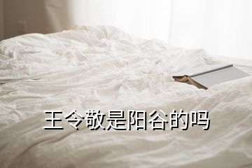 王令敬是阳谷的吗