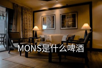 MONS是什么啤酒