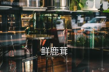 鲜鹿茸