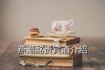 燕潮酩贵宾酒介绍