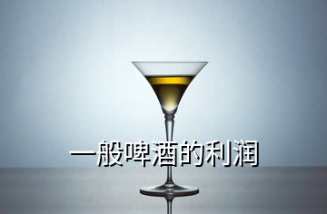 一般啤酒的利润