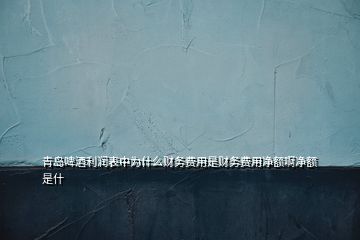 青岛啤酒利润表中为什么财务费用是财务费用净额啊净额是什