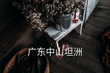 广东中山坦洲