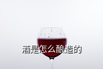 酒是怎么酿造的