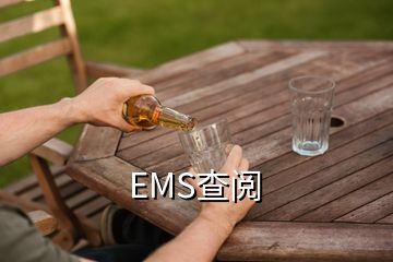 EMS查阅