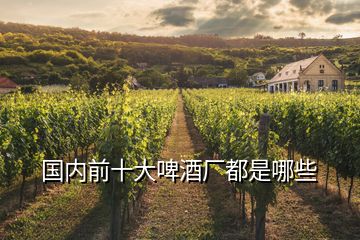 国内前十大啤酒厂都是哪些