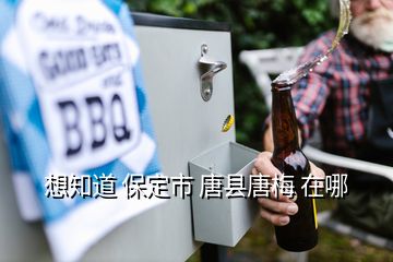 想知道 保定市 唐县唐梅 在哪