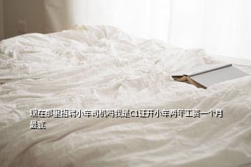 现在那里招聘小车司机吗我是C1证开小车两年工资一个月最底