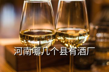 河南哪几个县有酒厂