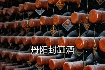 丹阳封缸酒