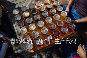 青岛啤酒厂几个厂生产代码