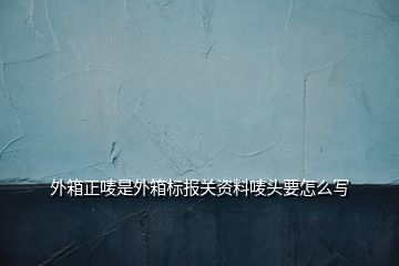 外箱正唛是外箱标报关资料唛头要怎么写