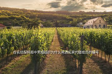 在名侦探柯南中黑暗组织为什么用酒名来代替成员的编号