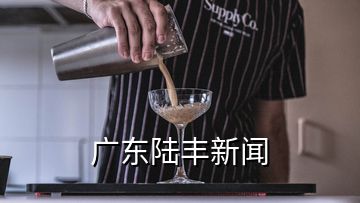 广东陆丰新闻