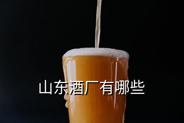 山东酒厂有哪些