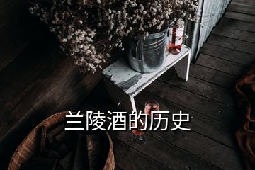 兰陵酒的历史