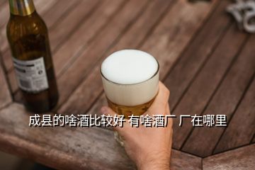 成县的啥酒比较好 有啥酒厂 厂在哪里