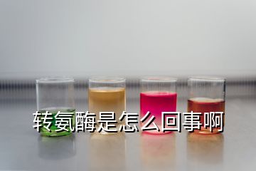 转氨酶是怎么回事啊