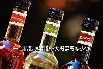 一台精酿啤酒设备大概需要多少钱