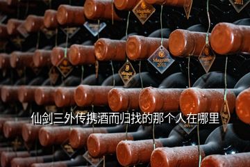 仙剑三外传携酒而归找的那个人在哪里