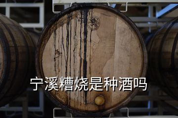 宁溪糟烧是种酒吗