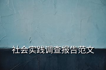 社会实践调查报告范文