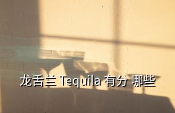 龙舌兰 Tequila 有分 哪些