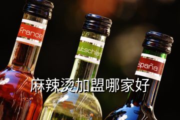 麻辣烫加盟哪家好