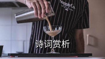 诗词赏析