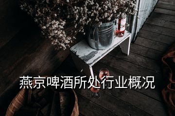 燕京啤酒所处行业概况