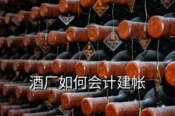 酒厂如何会计建帐