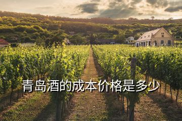 青岛酒的成本价格是多少