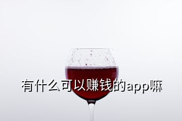 有什么可以赚钱的app嘛