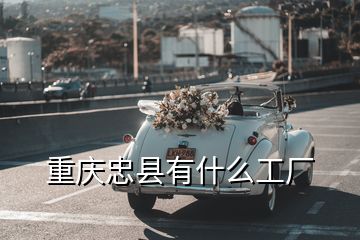 重庆忠县有什么工厂