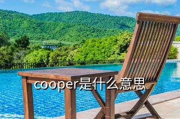 cooper是什么意思