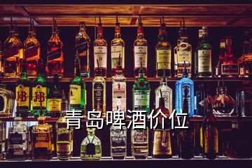 青岛啤酒价位